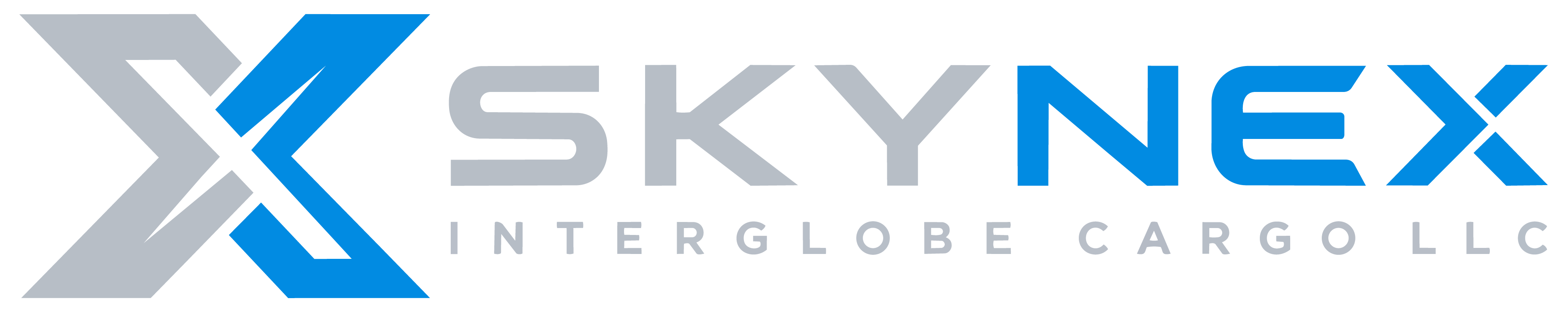 SKYNEX Interglobe Cargo LLC